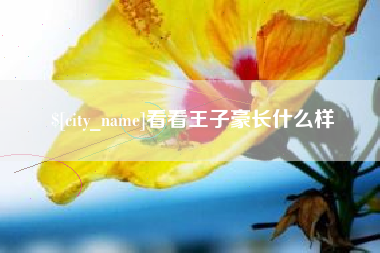 枣阳看看王子豪长什么样