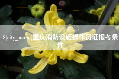 枣阳重庆消防设施操作员证报考条件