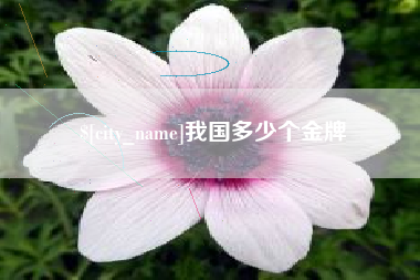 枣阳我国多少个金牌