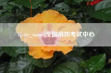 枣阳全国消防考试中心