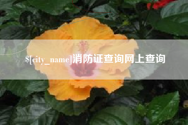 枣阳消防证查询网上查询