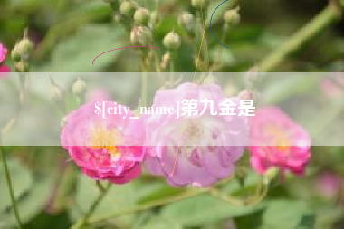 枣阳第九金是