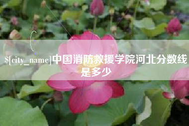 枣阳中国消防救援学院河北分数线是多少