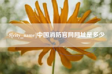 枣阳中国消防官网网址是多少