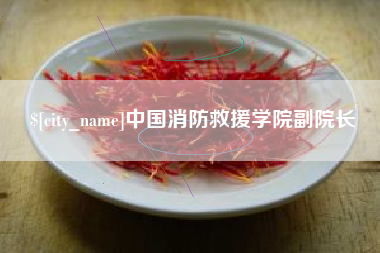 枣阳中国消防救援学院副院长