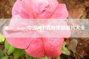 枣阳中国36个省份地图图片大全