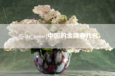 枣阳中国的金牌有几名