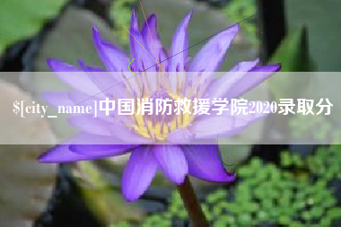 枣阳中国消防救援学院2020录取分