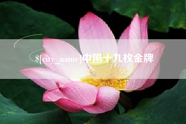 枣阳中国十九枚金牌