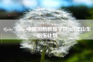 枣阳中国消防救援学院2021年山东招生计划