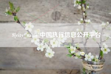 枣阳中国执行信息公开平台