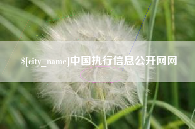 枣阳中国执行信息公开网网