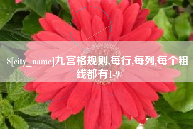 枣阳九宫格规则,每行,每列,每个粗线都有1-9