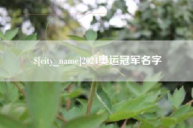 枣阳2024奥运冠军名字