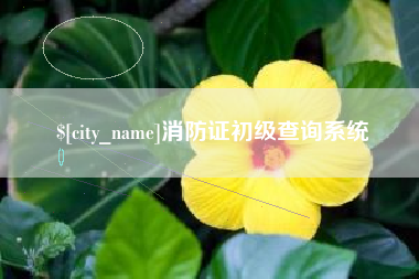枣阳消防证初级查询系统