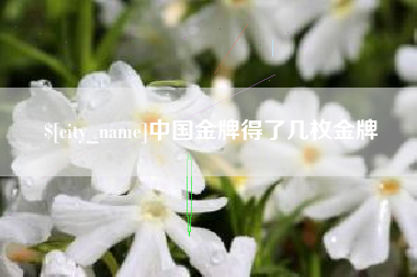 枣阳中国金牌得了几枚金牌