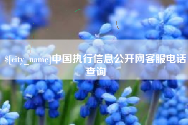 枣阳中国执行信息公开网客服电话查询