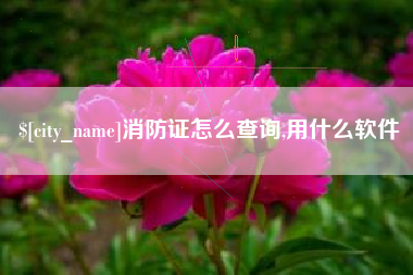 枣阳消防证怎么查询,用什么软件