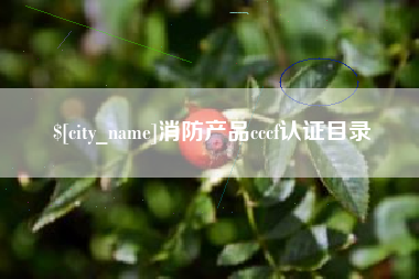 枣阳消防产品cccf认证目录