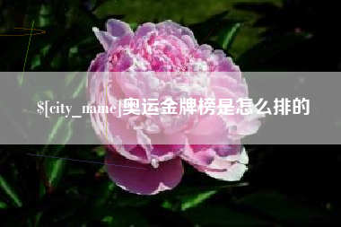 枣阳奥运金牌榜是怎么排的