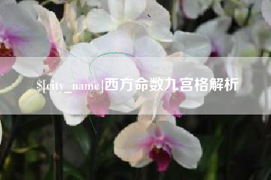 枣阳西方命数九宫格解析