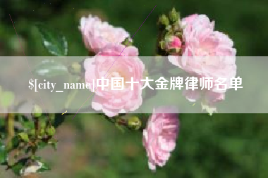 枣阳中国十大金牌律师名单
