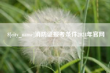 枣阳消防证报考条件2024年官网