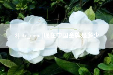 枣阳现在中国金牌是多少