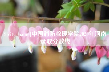 枣阳中国消防救援学院2020年河南录取分数线