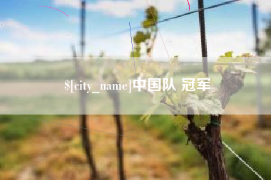 枣阳中国队 冠军