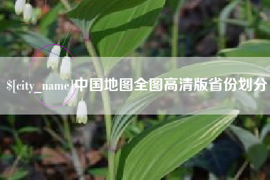枣阳中国地图全图高清版省份划分