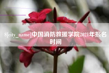 枣阳中国消防救援学院2021年报名时间