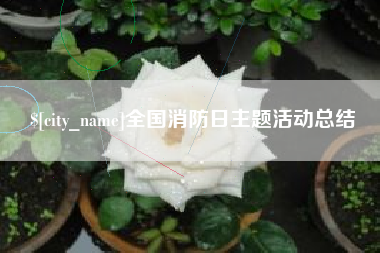 枣阳全国消防日主题活动总结