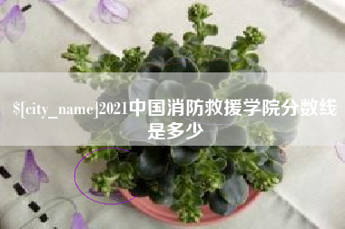 枣阳2021中国消防救援学院分数线是多少
