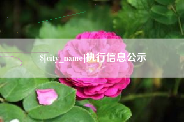 枣阳执行信息公示