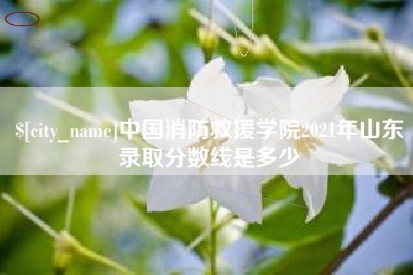 枣阳中国消防救援学院2021年山东录取分数线是多少