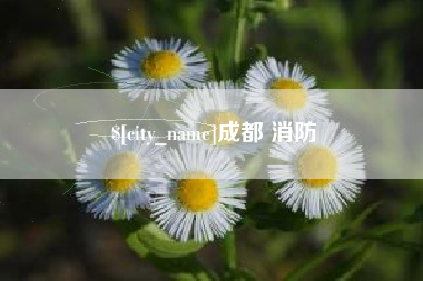 枣阳成都 消防