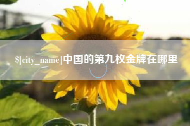枣阳中国的第九枚金牌在哪里