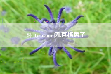 枣阳九宫格盘子