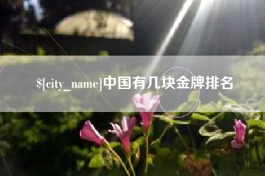 枣阳中国有几块金牌排名