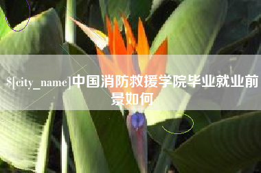 枣阳中国消防救援学院毕业就业前景如何