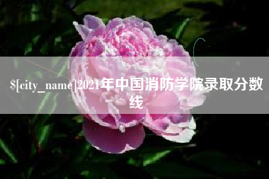枣阳2021年中国消防学院录取分数线