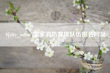 枣阳国家消防救援队伍报名网址