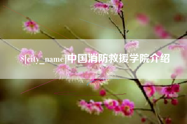 枣阳中国消防救援学院介绍