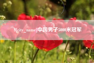 枣阳中国男子5000米冠军