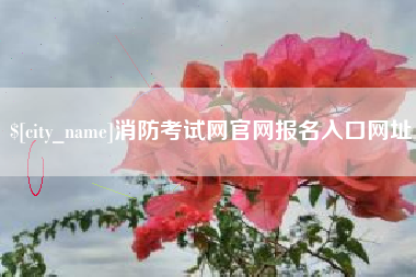 枣阳消防考试网官网报名入口网址