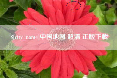枣阳中国地图 超清 正版下载