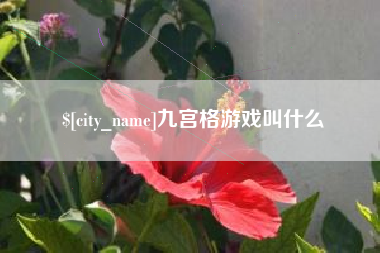 枣阳九宫格游戏叫什么