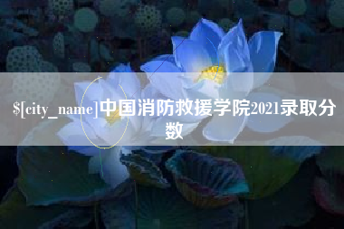 枣阳中国消防救援学院2021录取分数