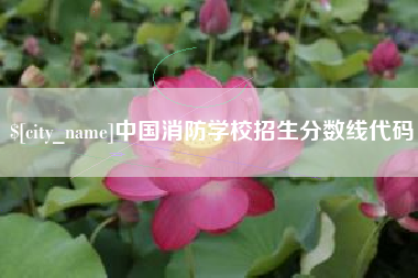 枣阳中国消防学校招生分数线代码